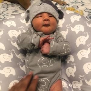 Meet your Posher, Nora